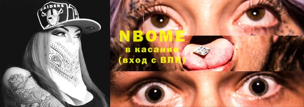 гашик Бородино