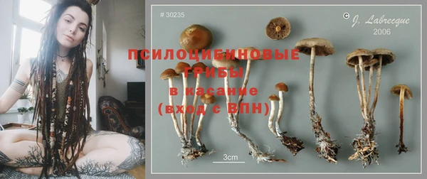 гашик Бородино