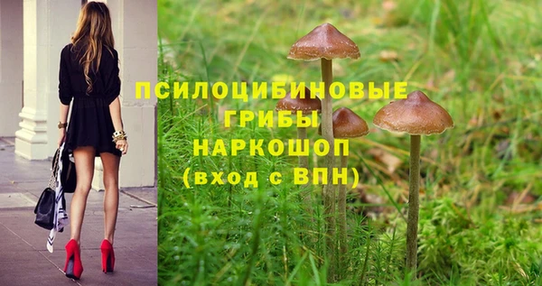 гашик Бородино