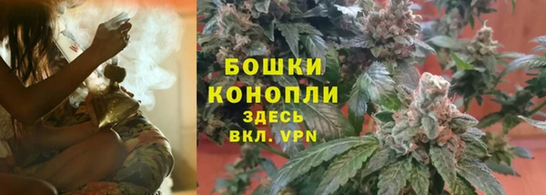 ПСИЛОЦИБИНОВЫЕ ГРИБЫ Бугульма