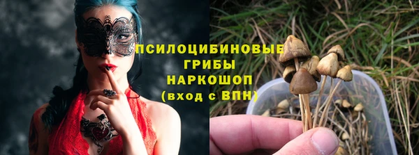 гашик Бородино