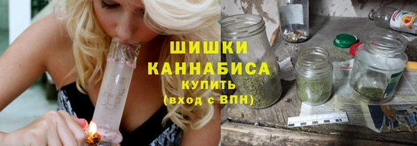 гашик Бородино