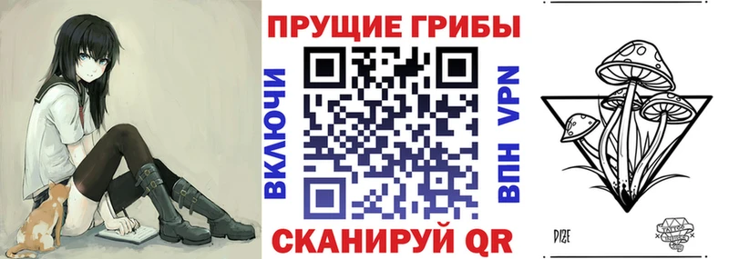 Галлюциногенные грибы Magic Shrooms  Купить где  Облучье 